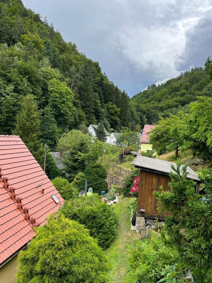 Pension Alpenrose Bad Schandau Exterior foto